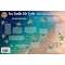 Sea Turtle Life Cycle LAMINATED CARD