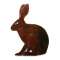 Desert Hare MAGNET