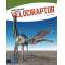 Velociraptor