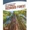 Californias Redwood Forest