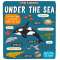 Little Explorers: Under the Sea