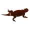 Horned Toad MAGNET