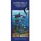 Costa Rica Pacific Coast Marine Wildlife Guide
