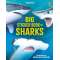 Big Sticker Book of Sharks - Book - Paracay