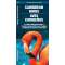 Caribbean Birds/Aves Caribenas: A Folding Pocket Guide to Familiar Species/Una Guia Plegable Portatil de Especies Conocidas - Book - Paracay