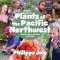 A Kid’s Guide to Plants of the Pacific Northwest with Cool Facts, Activities and Recipes - Book - Paracay