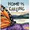 Home Is Calling: The Journey of the Monarch Butterfly - Book - Paracay