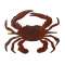 Blue Crab - Magnet - Paracay