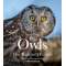 Owls - The Majestic Hunters - Book - Paracay