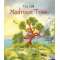 This Old Madrone Tree - Book - Paracay