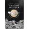 Amazing Octopus - Book - Paracay