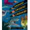 Dinosaurs! Dinosaurs! Dinosaurs! - Book - Paracay