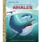 My Little Golden Book About Whales - Book - Paracay