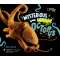 Mysterious, Marvelous Octopus - Book - Paracay