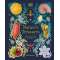 Nature's Treasures Objects From Nature - Book - Paracay