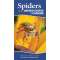 Spiders Of The United States & Canada - Book - Paracay