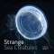 Strange Sea Creatures - Book - Paracay