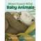 West Coast Wild Baby Animals - Book - Paracay
