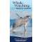 Whale-Watching - Book - Paracay
