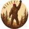 MERICA! - Vinyl Sticker (1 STICKER) - Paracay