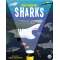 Magic Searchlight - Sharks - Book - Paracay