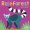 Rainforest - Now You See It! - Board Book - Paracay