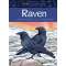 Raven - Book - Paracay