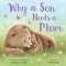 Why a Son Needs a Mom - Book - Paracay