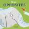 Wild! Opposites - Book - Paracay