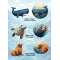 Pacific Northwest Marine Animal - Sticker Book - Paracay