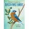 A Kid'S Guide To Backyard Birds - Book - Paracay