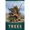 California Trees: A Field Guide To The Native Species - Book - Paracay