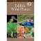 Edible Wild Plants, Volume 2 - Book - Paracay