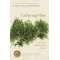 Gathering Moss: A Natural And Cultural History Of Mosses  - Book - Paracay