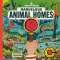 Marvelous Animal Homes: A Magic Lens Book - Book - Paracay