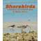 Shorebirds: A Compare And Contrast Book - Book - Paracay
