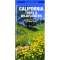 California Trees & Wildflowers - Folding Pocket Guide - Paracay