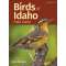 Birds Of Idaho Field Guide 2Nd Ed. - Book - Paracay