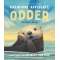 Odder: An Otter'S Story - Book - Paracay