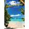 The Cruising Guide To The Northern Leeward Islands 2025-2026 Edition - Book - Paracay