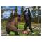 Bigfoot Revealed - 2026 - Calendar - Paracay