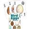 Bird Eggs Playing Cards - Book - Paracay