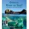 Otters: River Or Sea? A Compare And Contrast Book - Book - Paracay
