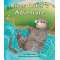 River Otter'S Adventure - Book - Paracay