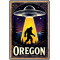 Oregon UFO Abduction - Sticker - Paracay