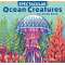 Spectacular Ocean Creatures Coloring Book - Book - Paracay