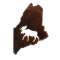 State Of Maine W/ Moose - Magnet - Paracay