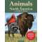 Animals of Norht America - Coloring Book - Paracay