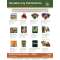 Squatch Metalworks Package Special BIGFOOT BOOKS (WHOLESALE ONLY) - Book - Paracay