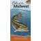 Fish of the Midwest - Book - Paracay